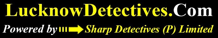 lucknow detectives logo
